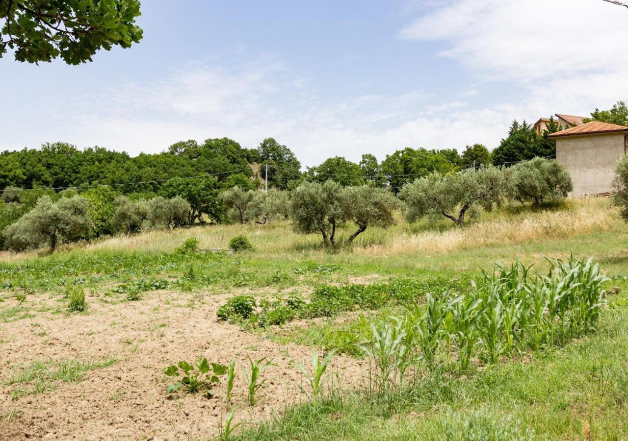 Agriturismo La Vammora Laviano Eksteriør billede